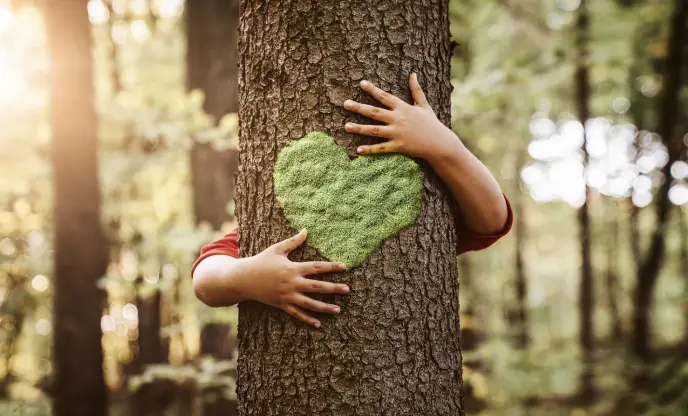 Un árbol con un corazón verde en el tronco